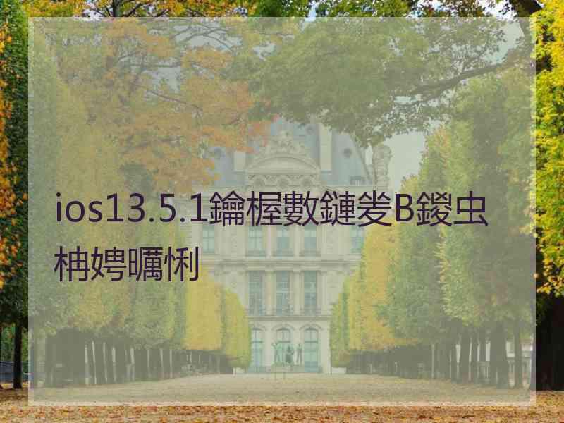 ios13.5.1鑰楃數鏈夎В鍐虫柟娉曞悧