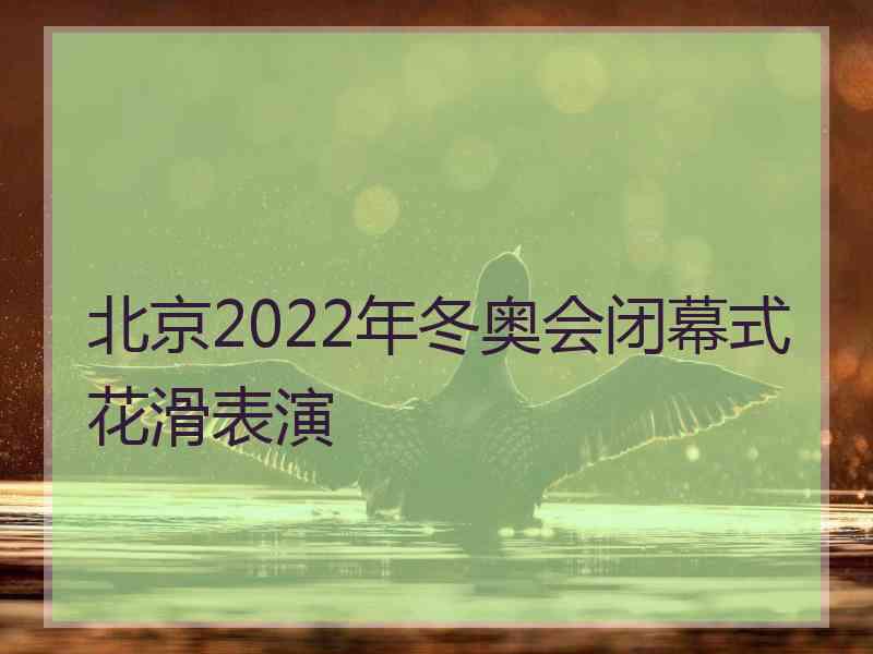 北京2022年冬奥会闭幕式花滑表演