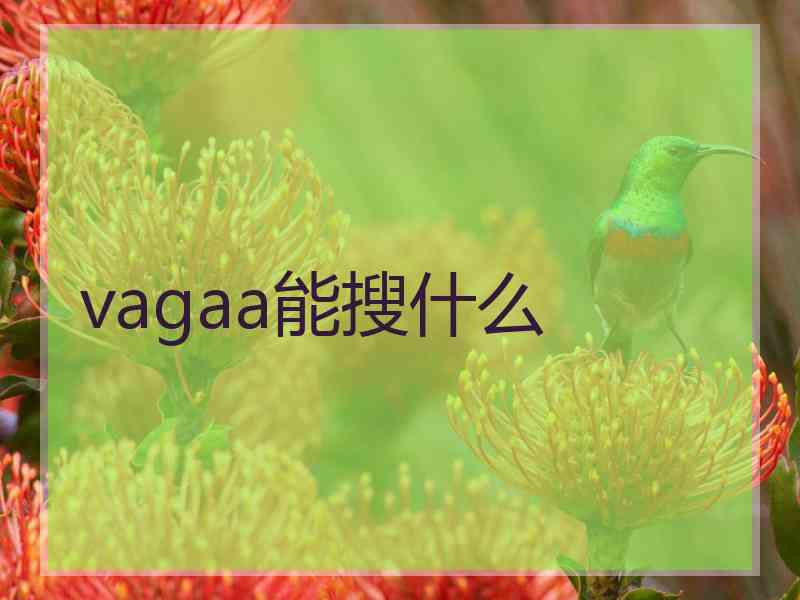 vagaa能搜什么