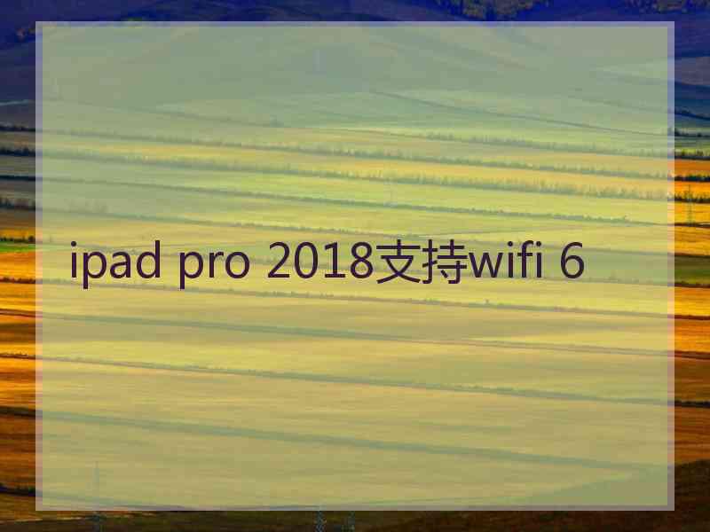 ipad pro 2018支持wifi 6