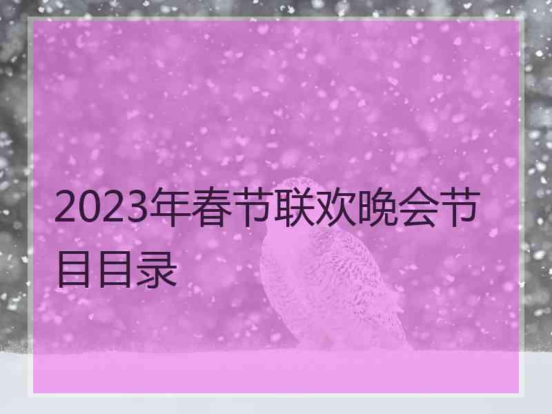 2023年春节联欢晚会节目目录