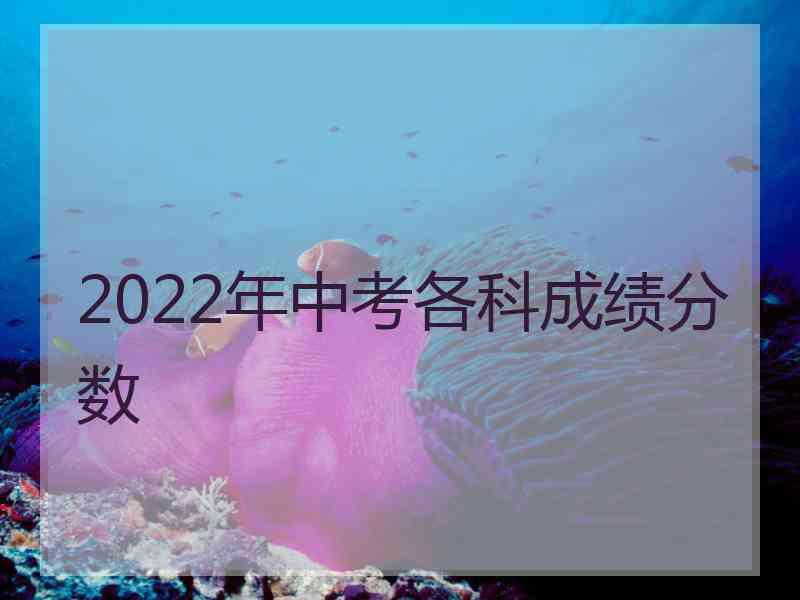 2022年中考各科成绩分数