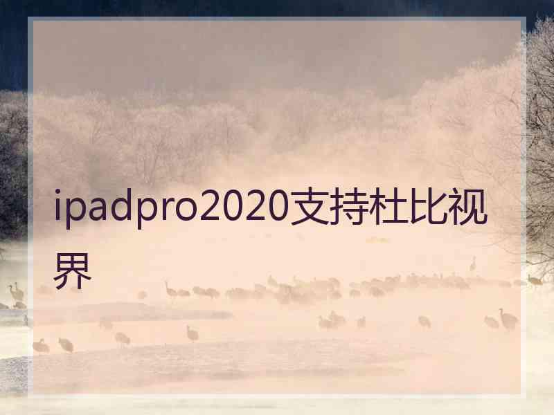 ipadpro2020支持杜比视界