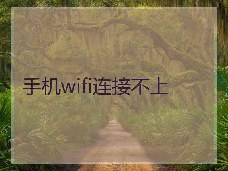 手机wifi连接不上