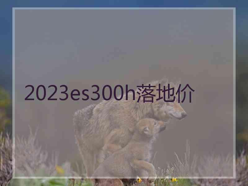 2023es300h落地价