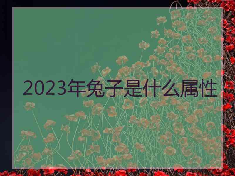 2023年兔子是什么属性