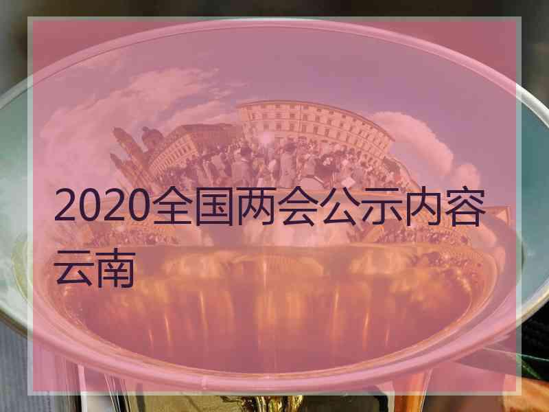 2020全国两会公示内容云南