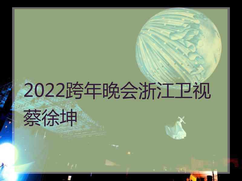 2022跨年晚会浙江卫视蔡徐坤