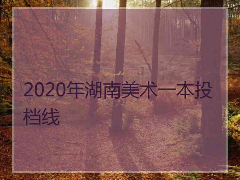 2020年湖南美术一本投档线