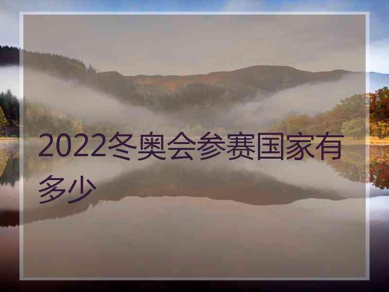 2022冬奥会参赛国家有多少