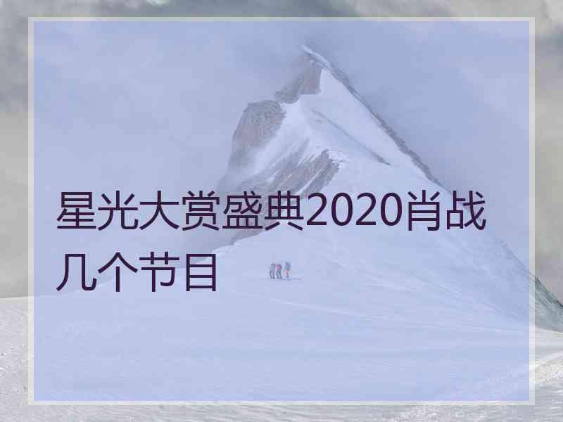 星光大赏盛典2020肖战几个节目