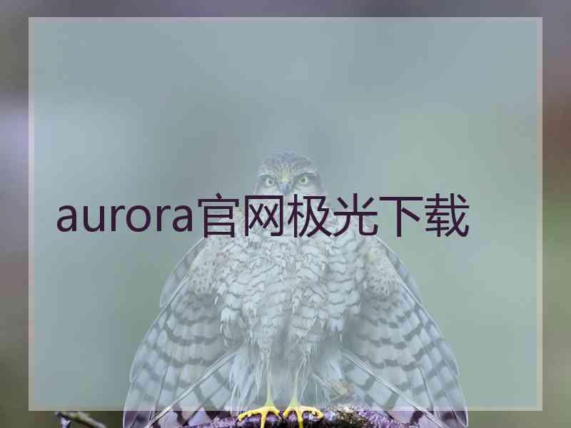 aurora官网极光下载