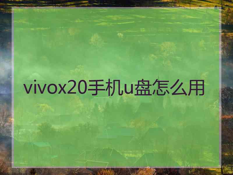 vivox20手机u盘怎么用