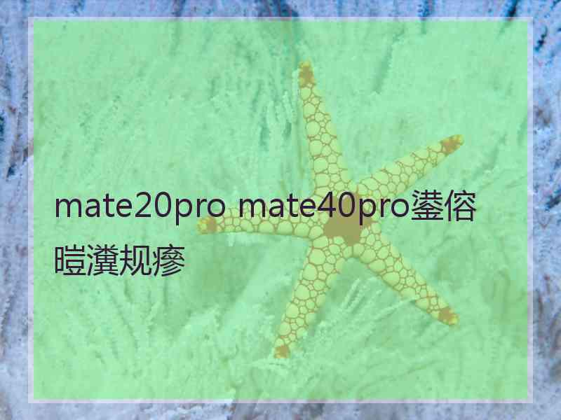 mate20pro mate40pro鍙傛暟瀵规瘮