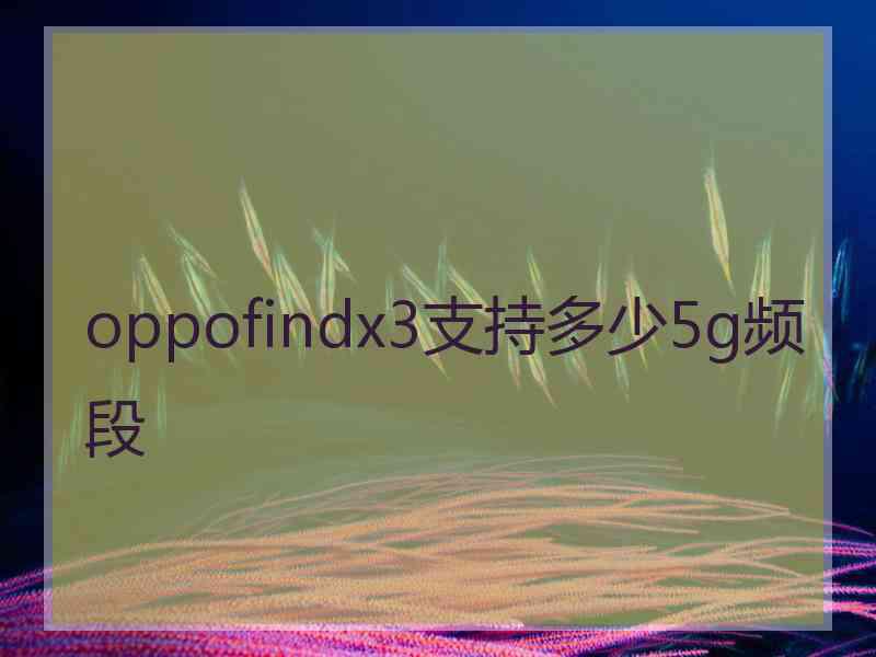 oppofindx3支持多少5g频段