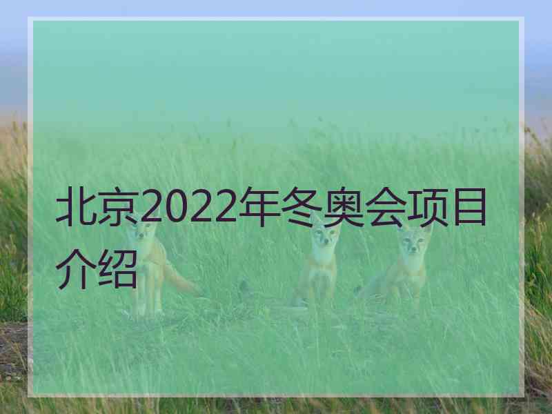 北京2022年冬奥会项目介绍