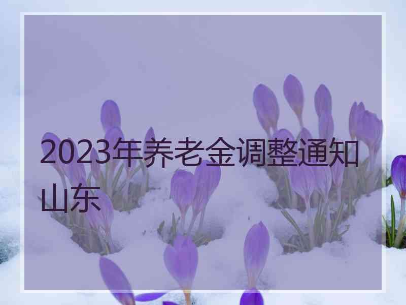 2023年养老金调整通知山东