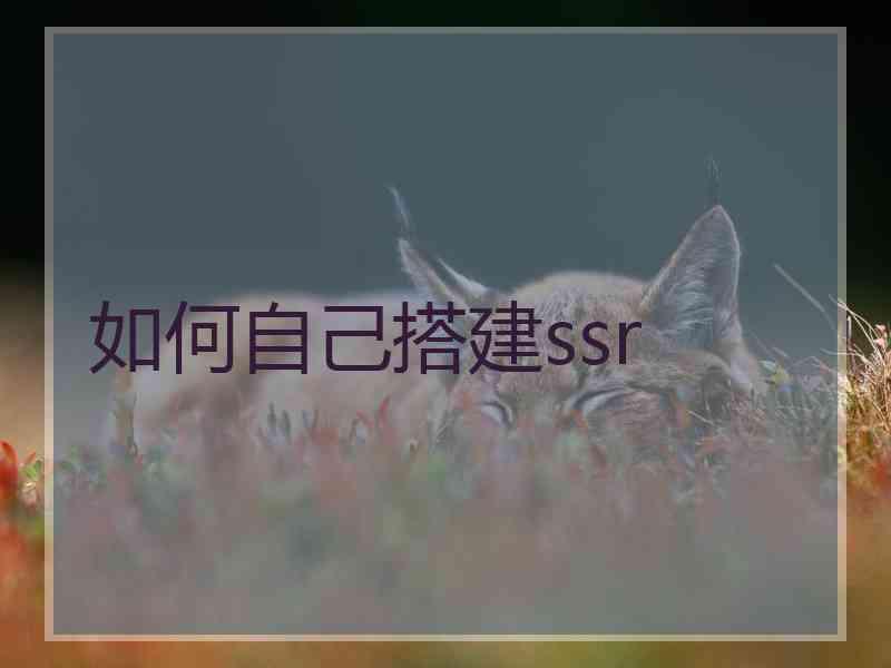 如何自己搭建ssr