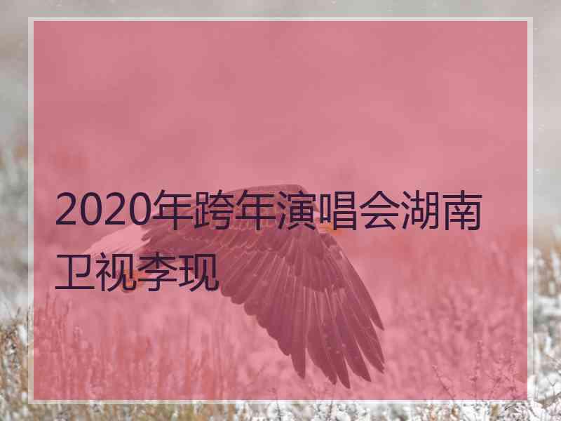 2020年跨年演唱会湖南卫视李现