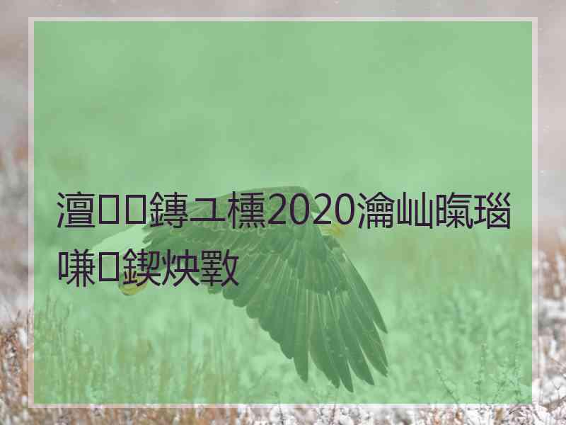 澶鏄ユ櫄2020瀹屾暣瑙嗛鍥炴斁