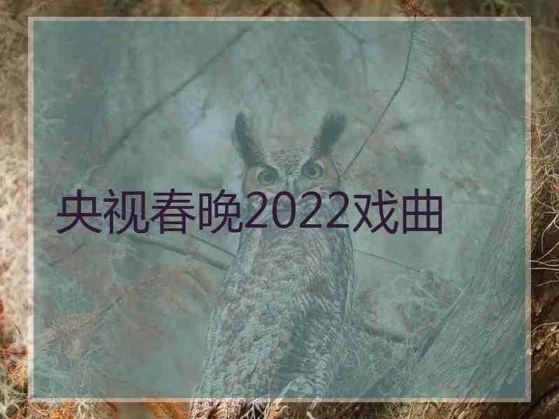 央视春晚2022戏曲