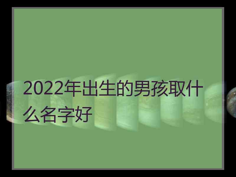 2022年出生的男孩取什么名字好