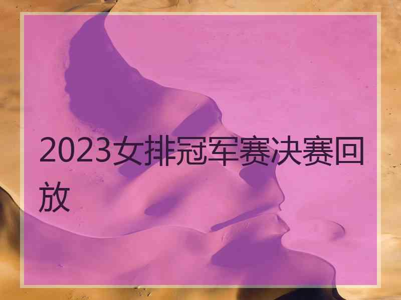 2023女排冠军赛决赛回放