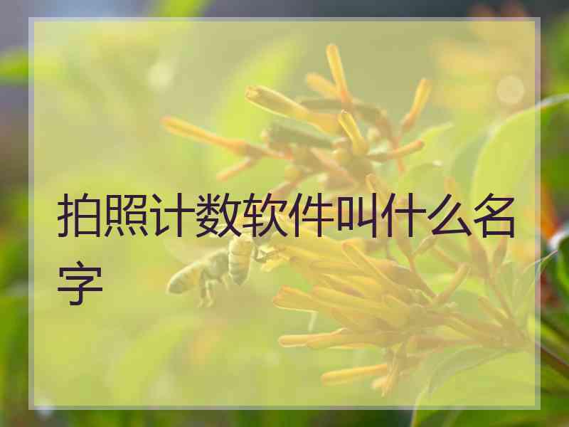 拍照计数软件叫什么名字