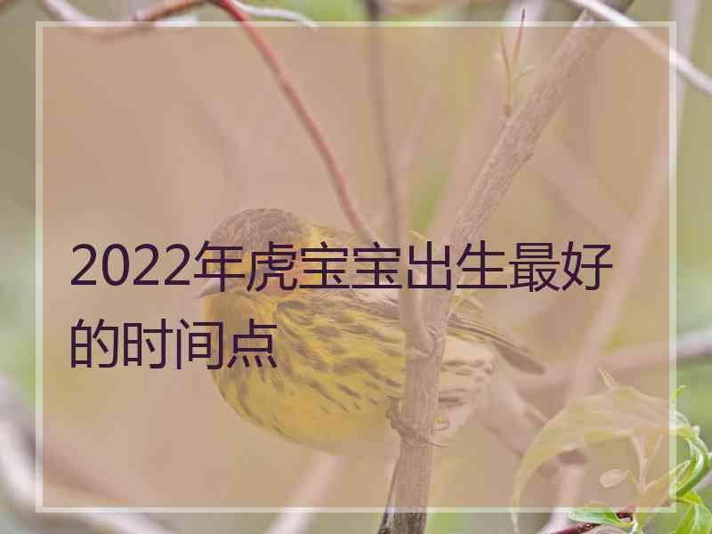 2022年虎宝宝出生最好的时间点