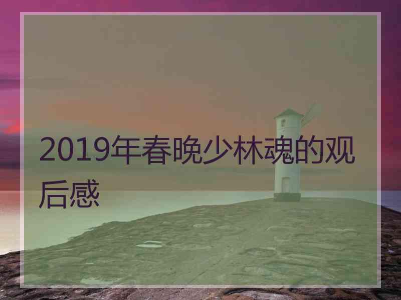 2019年春晚少林魂的观后感