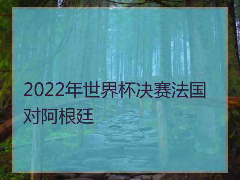 2022年世界杯决赛法国对阿根廷