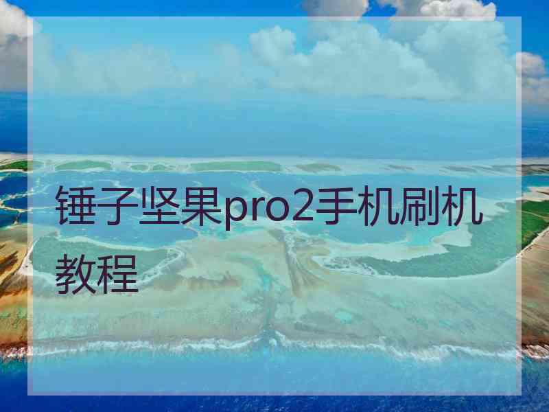 锤子坚果pro2手机刷机教程