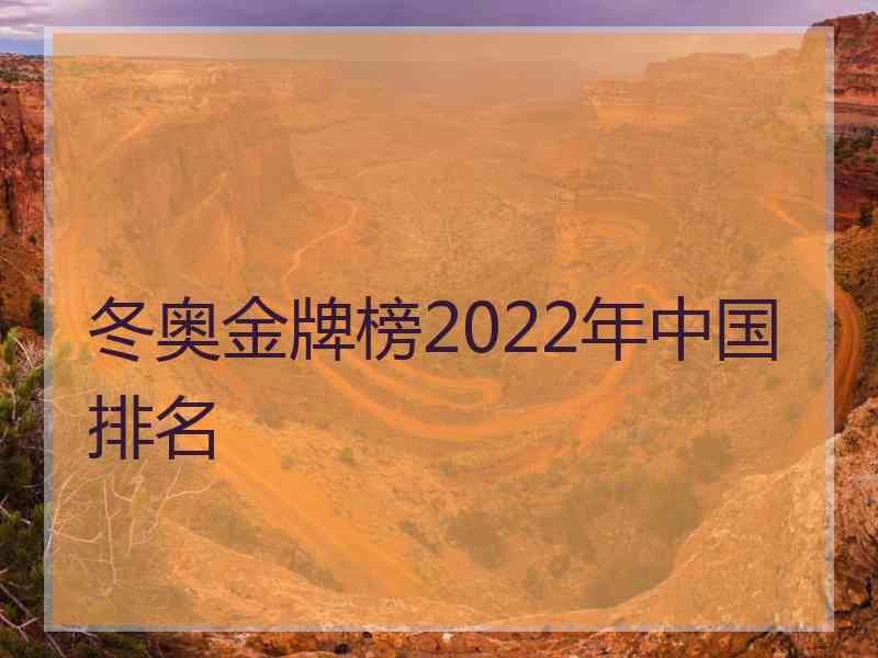 冬奥金牌榜2022年中国排名