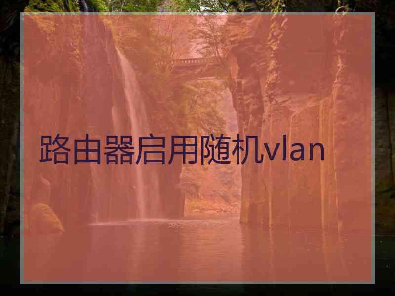 路由器启用随机vlan