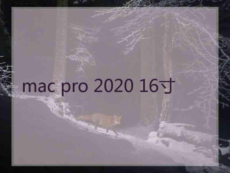 mac pro 2020 16寸