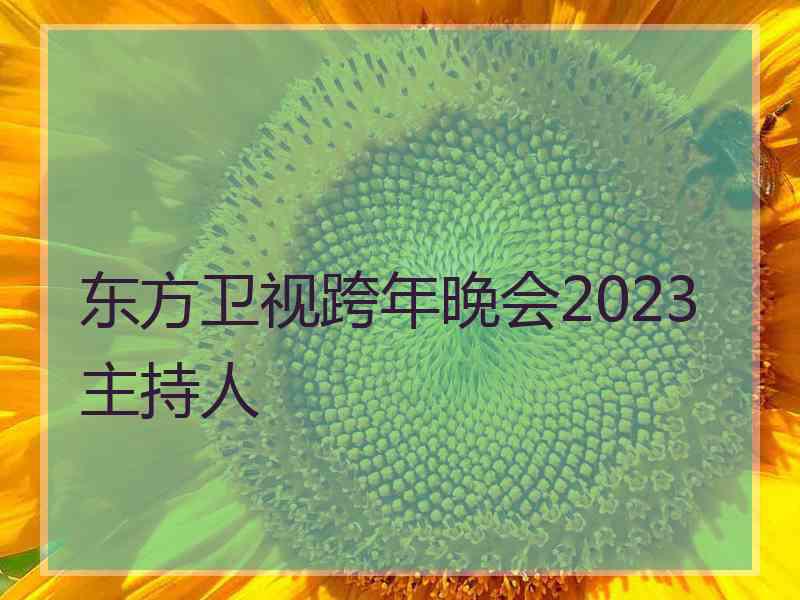 东方卫视跨年晚会2023主持人