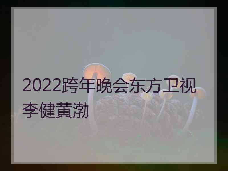 2022跨年晚会东方卫视李健黄渤