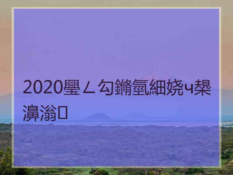 2020璺ㄥ勾鏅氫細娆ч槼濞滃