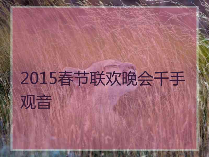 2015春节联欢晚会千手观音