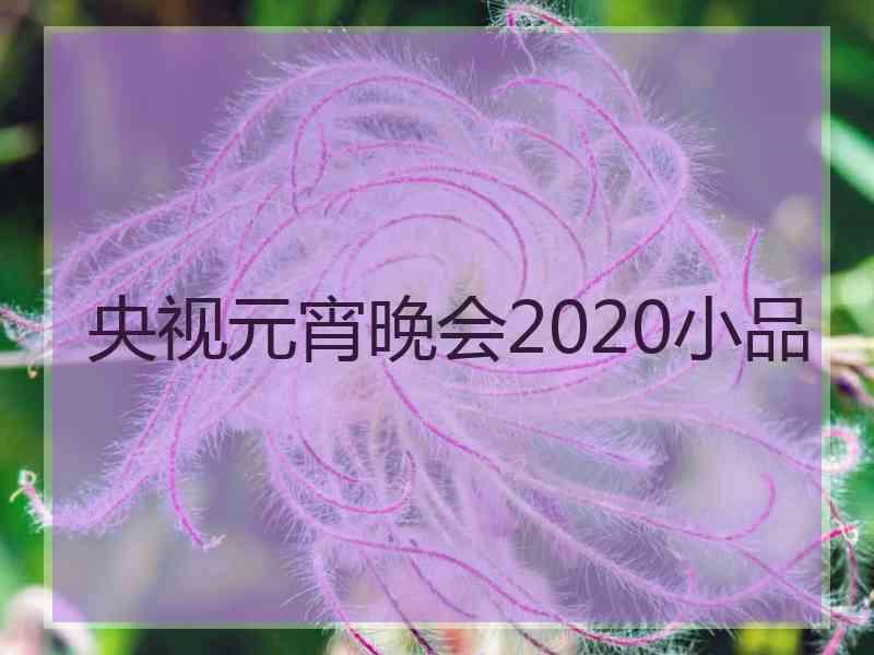 央视元宵晚会2020小品