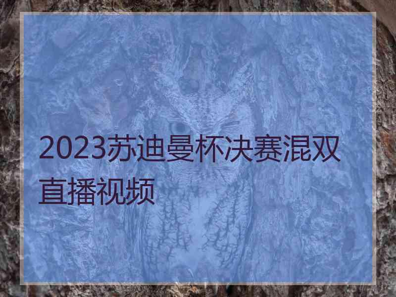 2023苏迪曼杯决赛混双直播视频