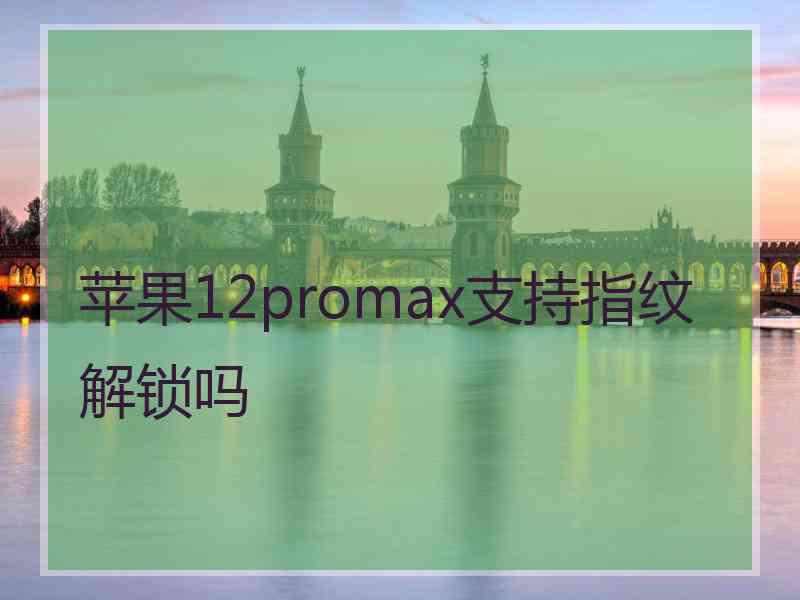 苹果12promax支持指纹解锁吗