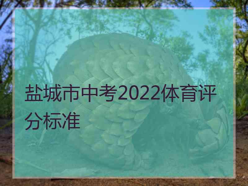 盐城市中考2022体育评分标准