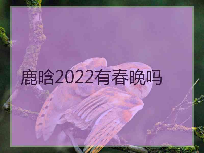 鹿晗2022有春晚吗