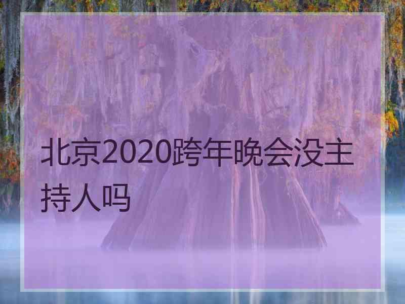 北京2020跨年晚会没主持人吗