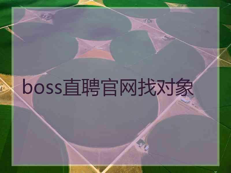 boss直聘官网找对象