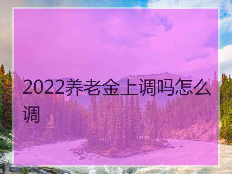 2022养老金上调吗怎么调