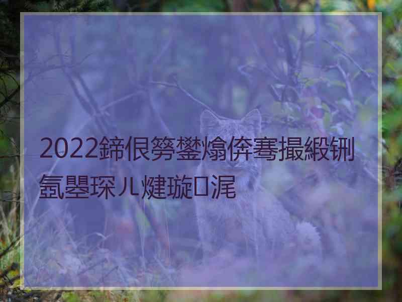 2022鍗佷簩鐢熻倴骞撮緞铏氬瞾琛ㄦ煡璇㈠浘