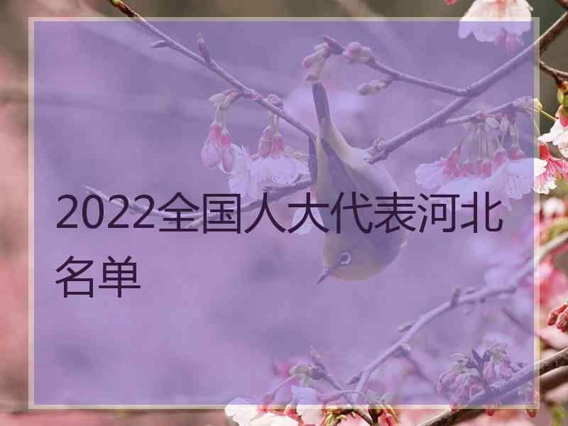 2022全国人大代表河北名单