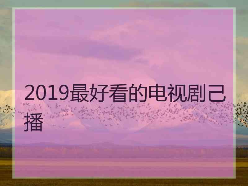 2019最好看的电视剧己播